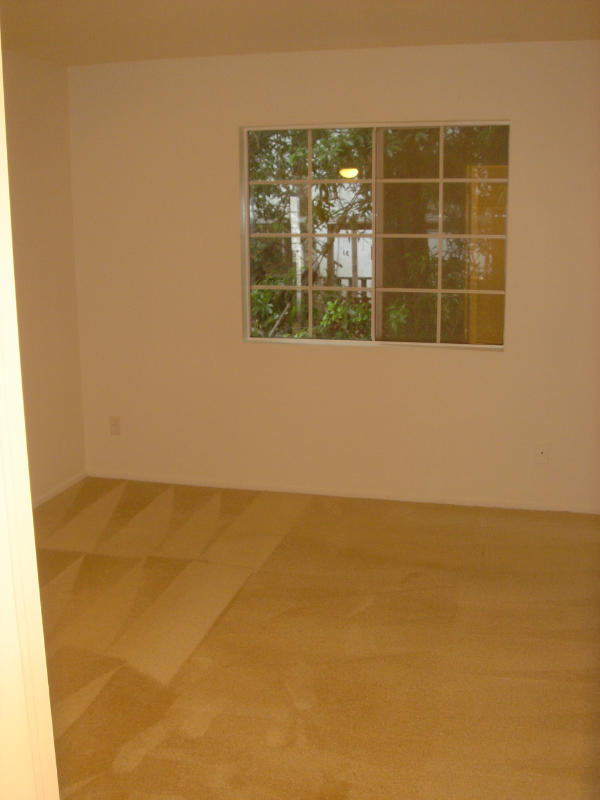 3031 Grand View Blvd #206 - Photo 6 of 9