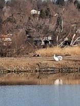 1641 Winona Ct - Photo 1 of 1