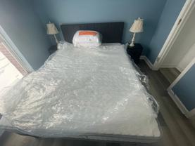 8 Robinwood St - Photo 1 of 1