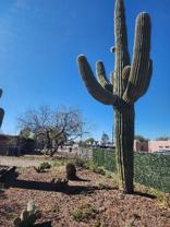 2136 N Madelyn Ave #A - Photo 1 of 1