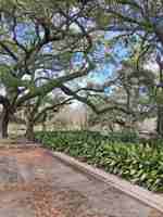 featured image of 6324 Annunciation St