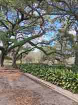 6324 Annunciation St - Photo 1 of 1