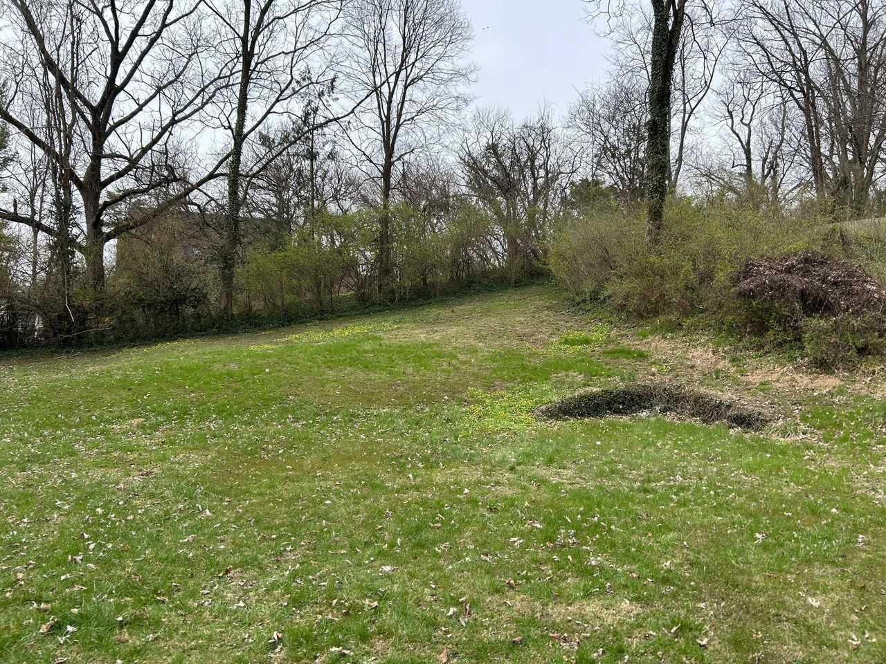 1415 Maple Ave - Photo 5 of 5