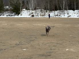 17 Water St #3 - Photo 1 of 1