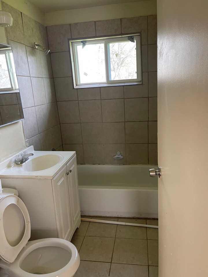 4802 Dove Springs Dr - Photo 4 of 5