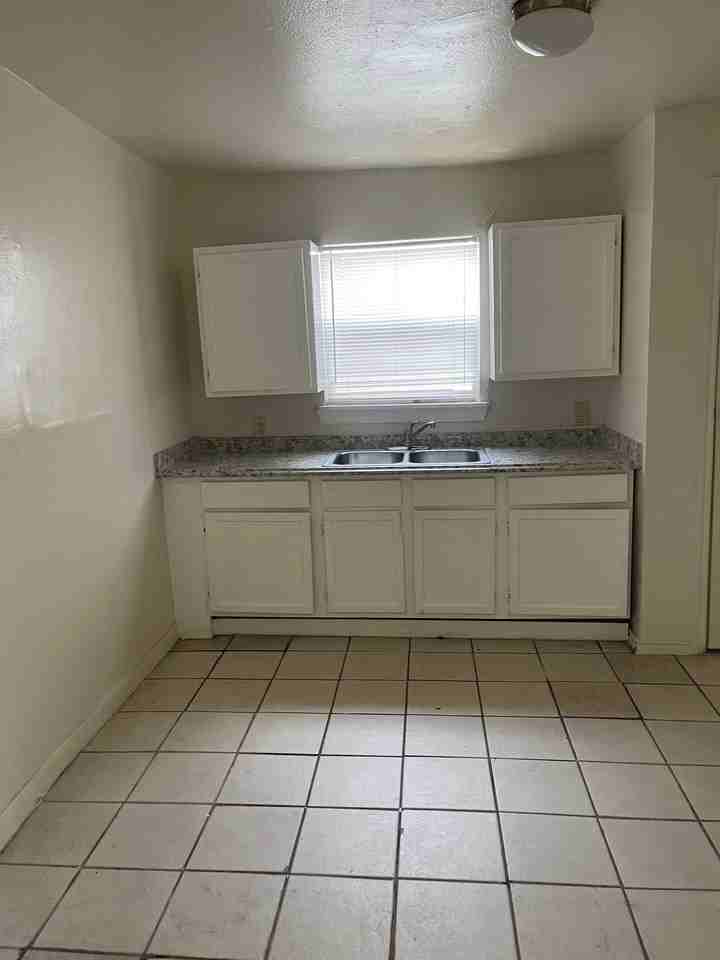 4802 Dove Springs Dr - Photo 5 of 5