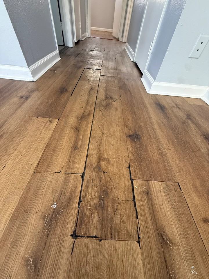 1536 N 22nd St #4 - Photo 6 of 14