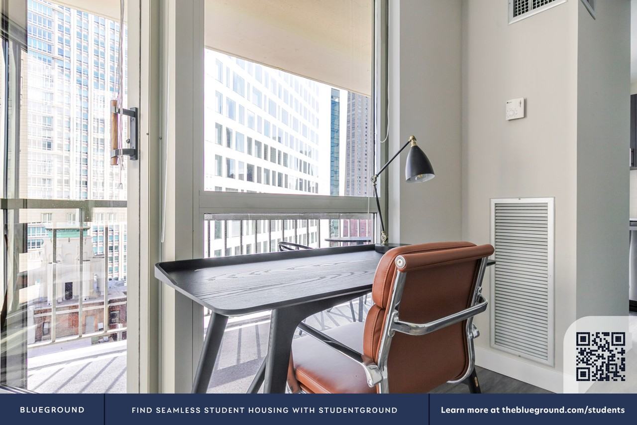 1 East Delaware Place - Photo 6 of 38