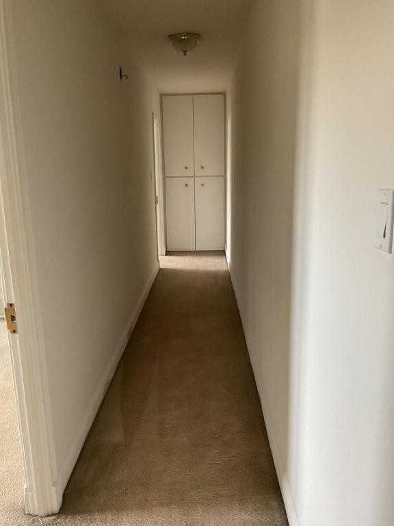 151 E Walnut St - Photo 5 of 14