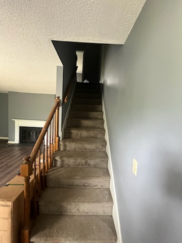 3569 Gondola Dr - Photo 6 of 12