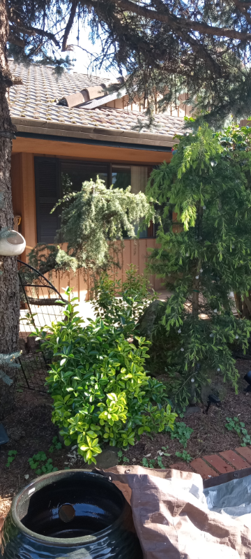 4303 Imperial Dr #4303 - Photo 4 of 20