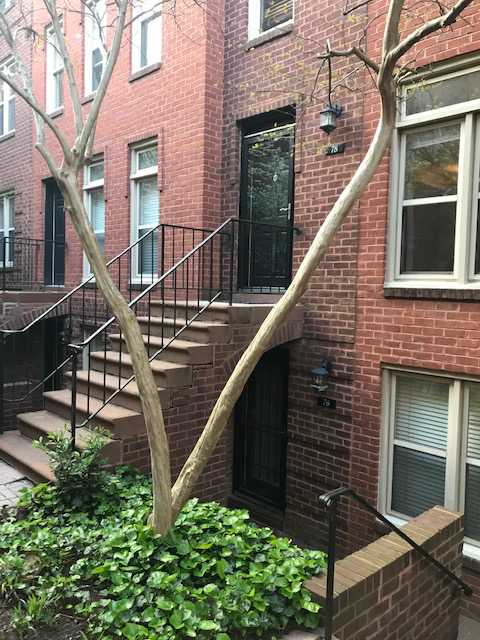 78 15th St Ne - Photo 2 of 10