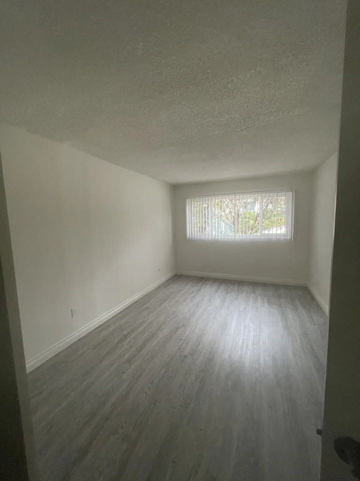 781 Amigos Way - Photo 4 of 24