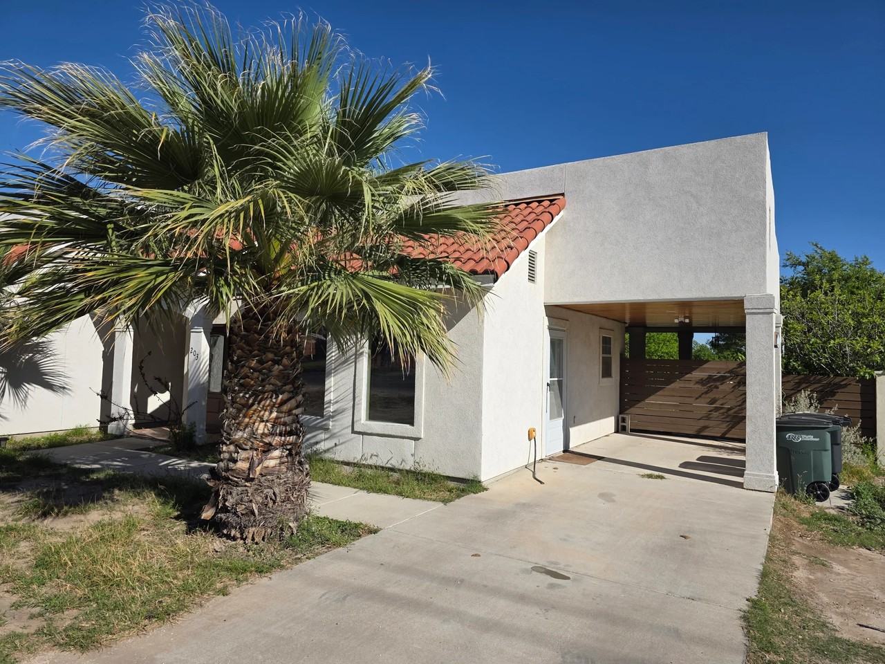 203 W Cantu Rd - Photo 2 of 22