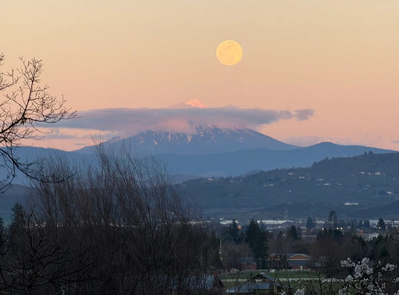 25 Donna Way #2 - Photo 4 of 6