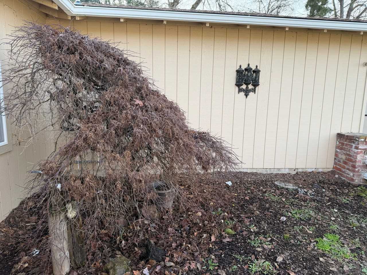 25 Donna Way #2 - Photo 6 of 6