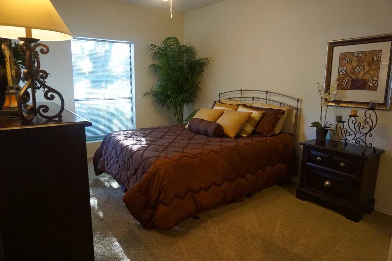 11316 Jollyville Rd #3003 - Photo 5 of 9