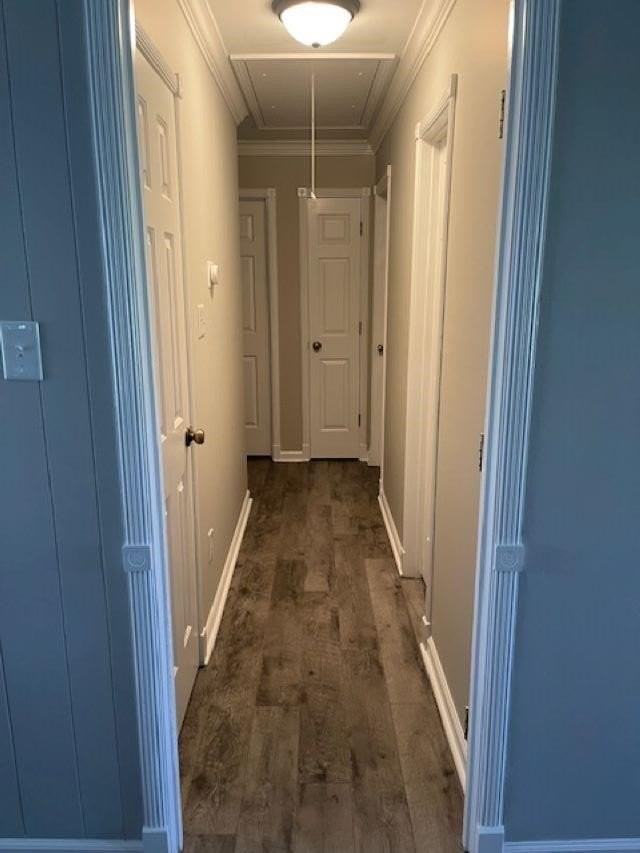 308 Dove Valley Rd - Photo 4 of 14