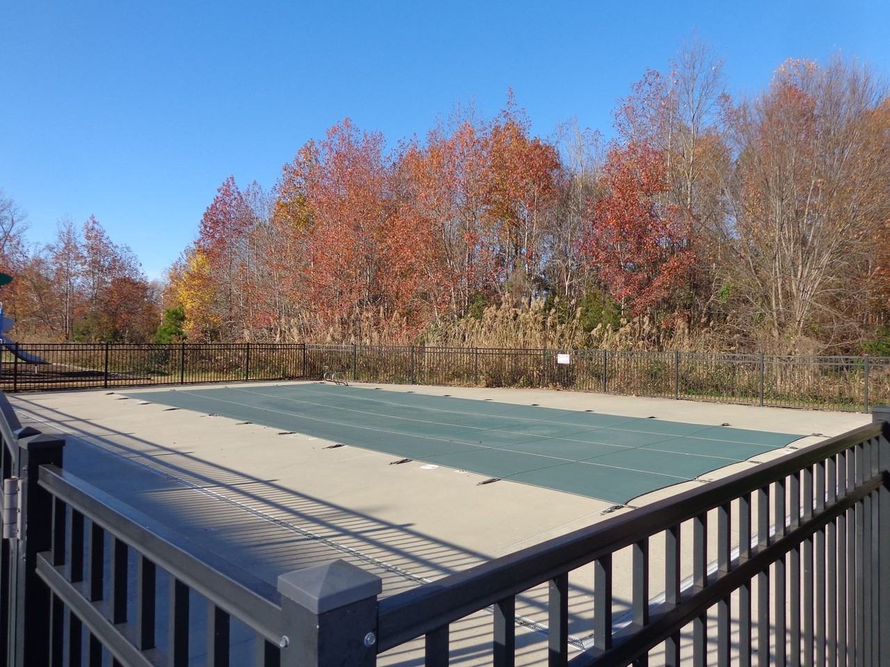 603 Brickell Chase - Photo 6 of 30