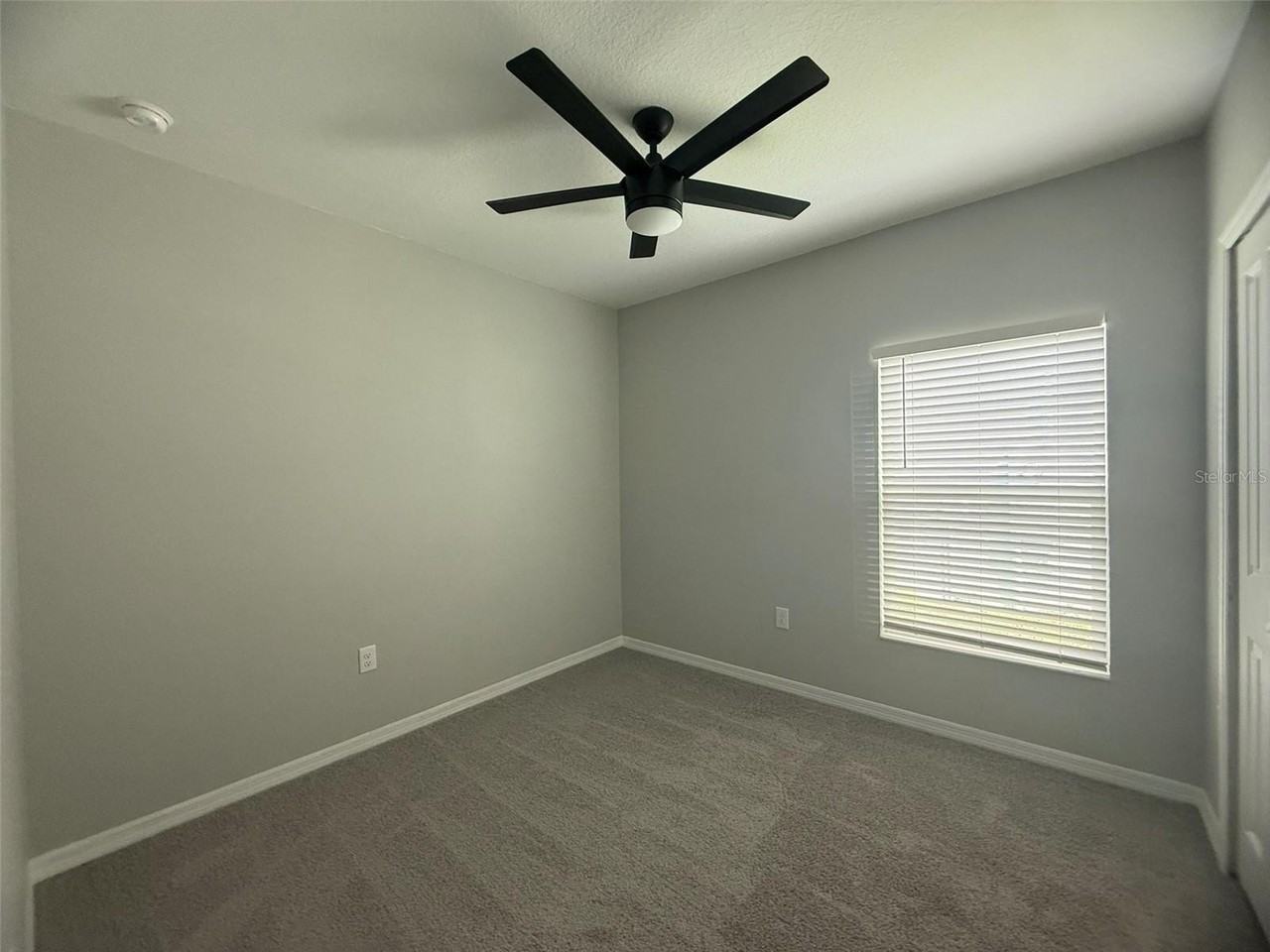 Austin Ter - Photo 5 of 24