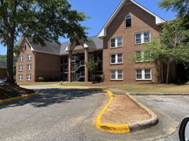 featured image of 427 Harper Ave #17