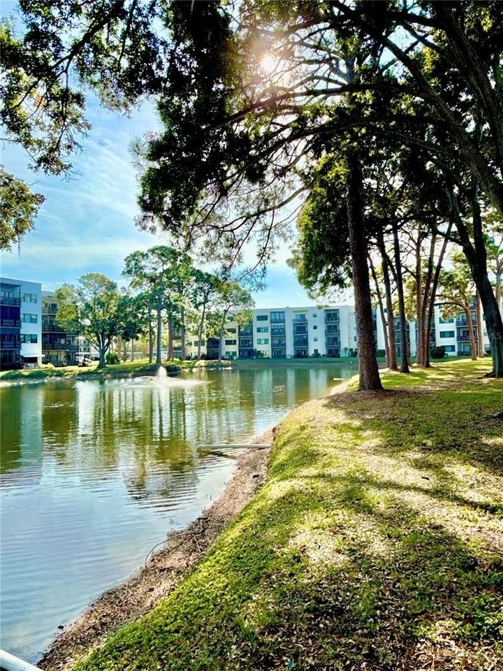 5970 80th St N #411 - Photo 3 of 46