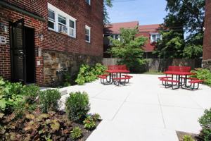 featured image of 353 W Mount Airy Ave