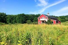 67 Black Creek Rd - Photo 1 of 1