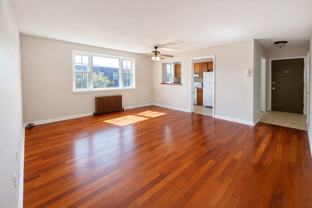 261 261 SOUTH WINEBIDDLE STREETAPT 36 - Photo 1 of 1