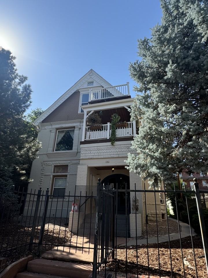 Pearl - Photo 2 of 16