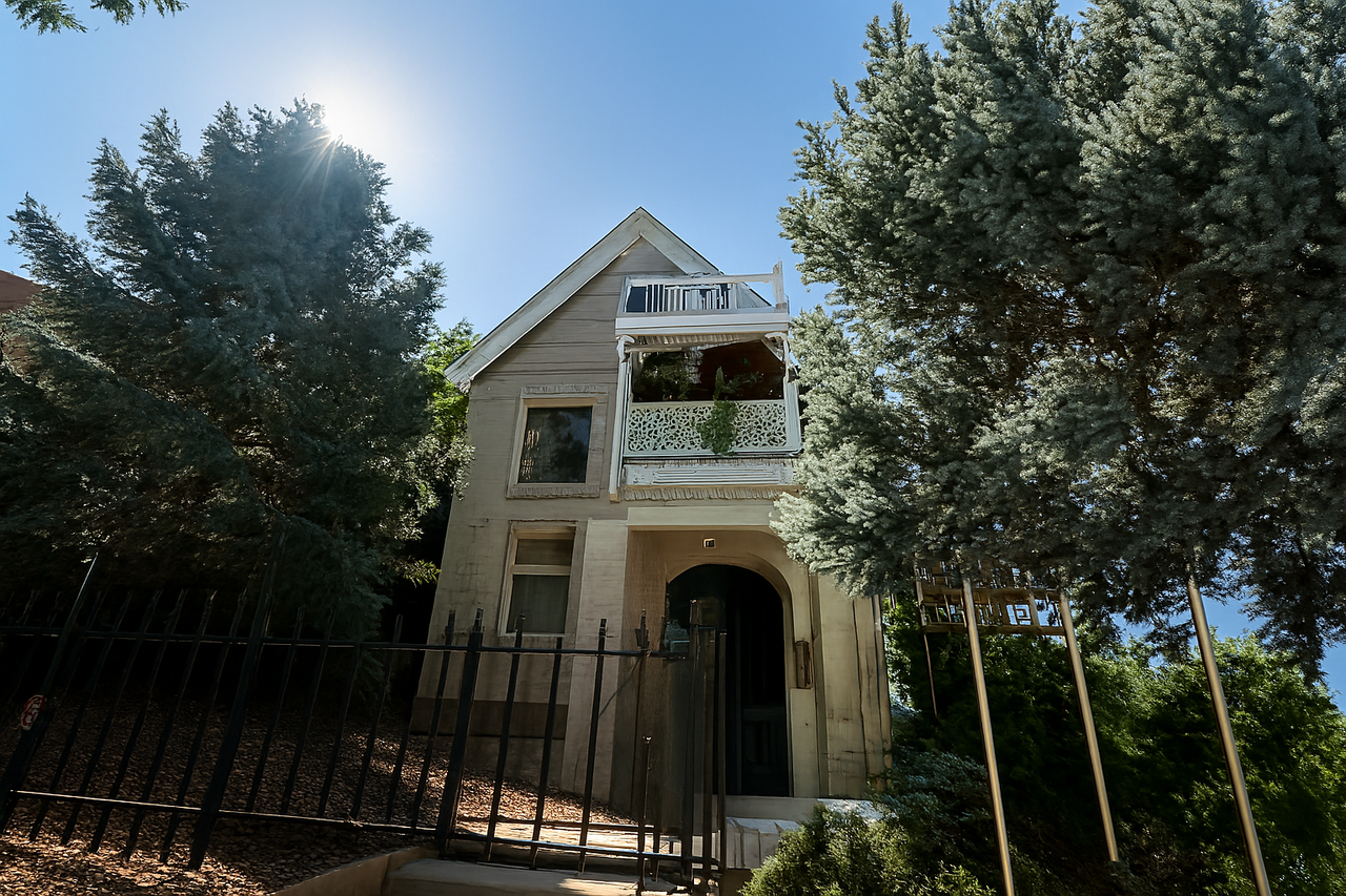 Pearl - Photo 4 of 16