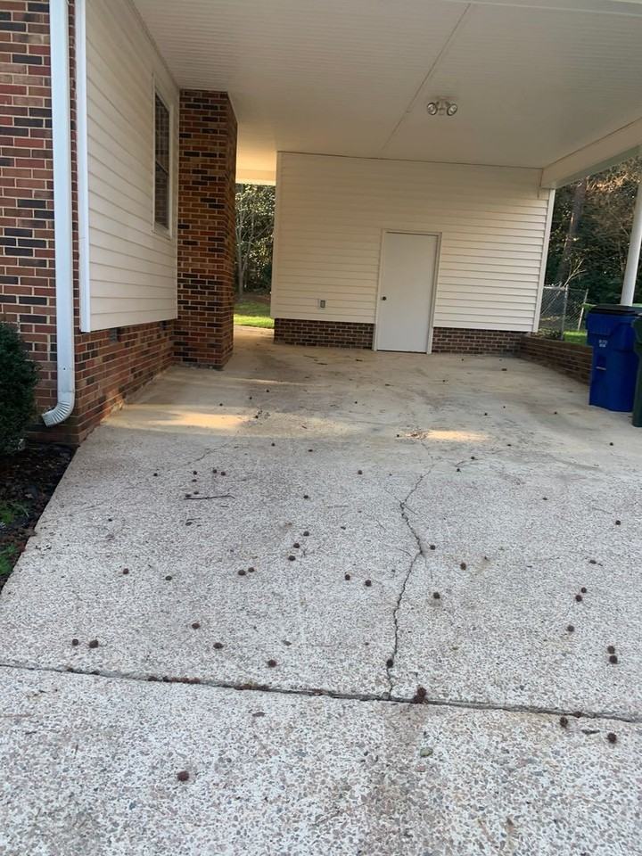 1305 Lennox Pl - Photo 3 of 33