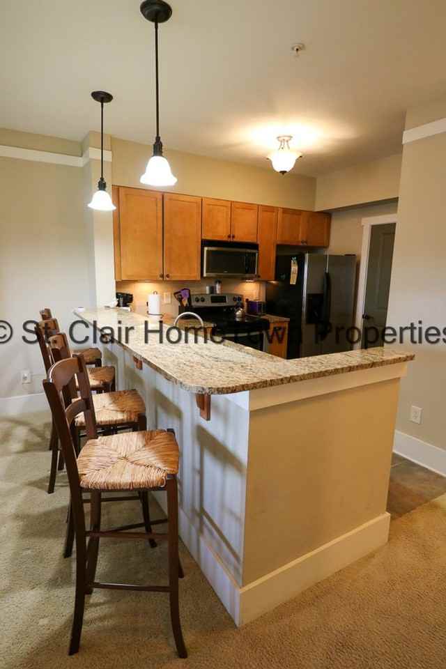 475 River Forest Ln - Photo 3 of 31