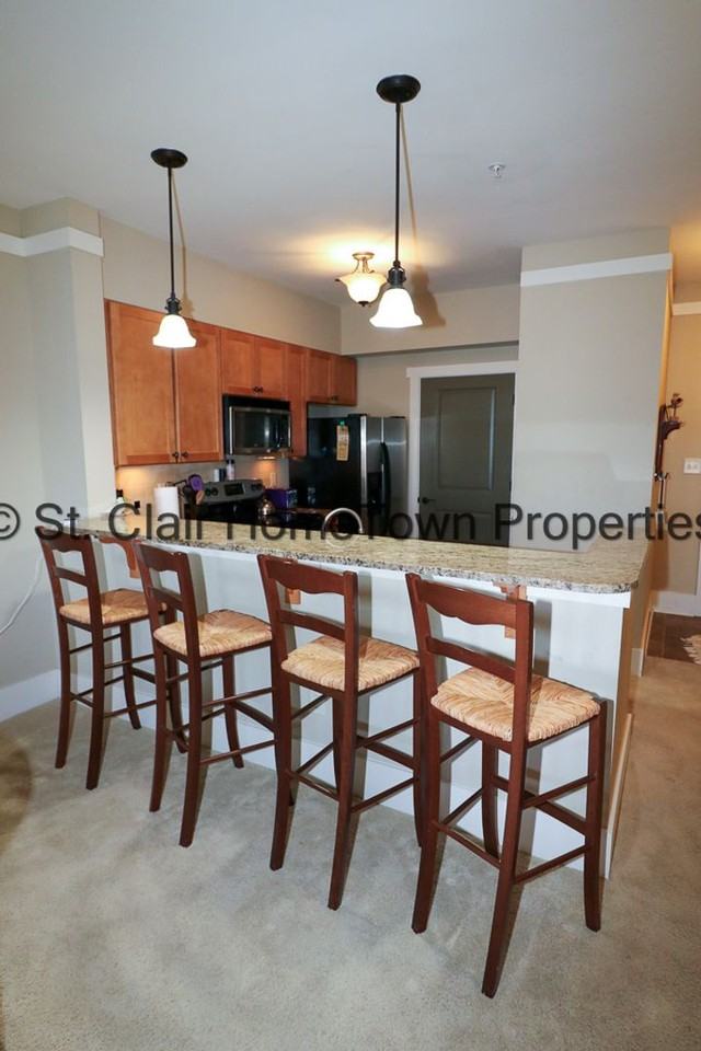 475 River Forest Ln - Photo 6 of 31