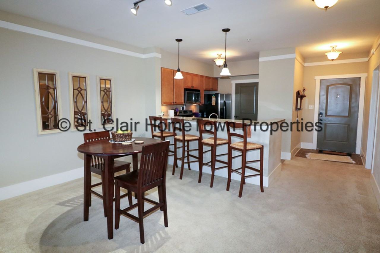 475 River Forest Ln - Photo 7 of 31