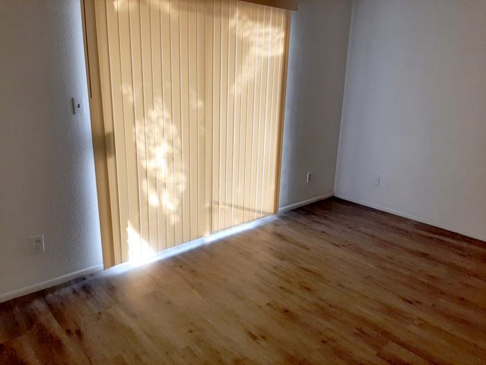 2242 W Morten Ave #5 - Photo 5 of 8