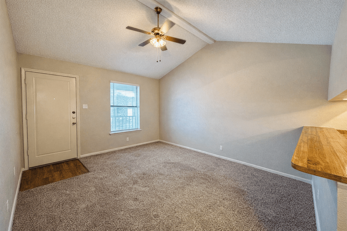 515 Humble Ave #308 - Photo 7 of 19