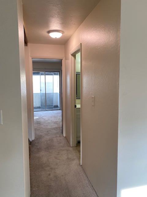 410 W Winnie Ln #12 - Photo 7 of 8