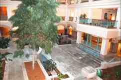 550 Washington St #303 - Photo 1 of 1