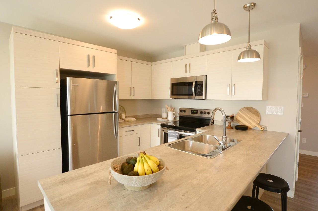 51 & 61 Edgemont Place - Photo 7 of 44