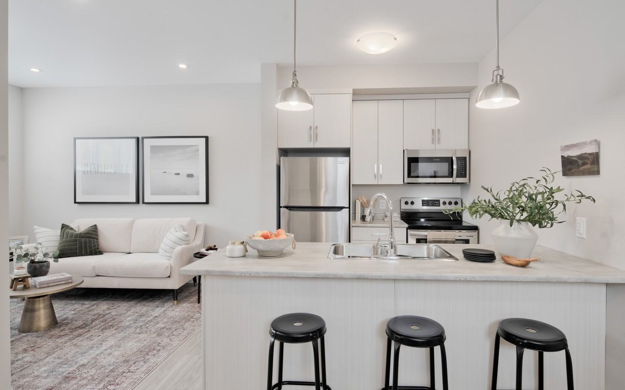 51 & 61 Edgemont Place - Photo 4 of 31