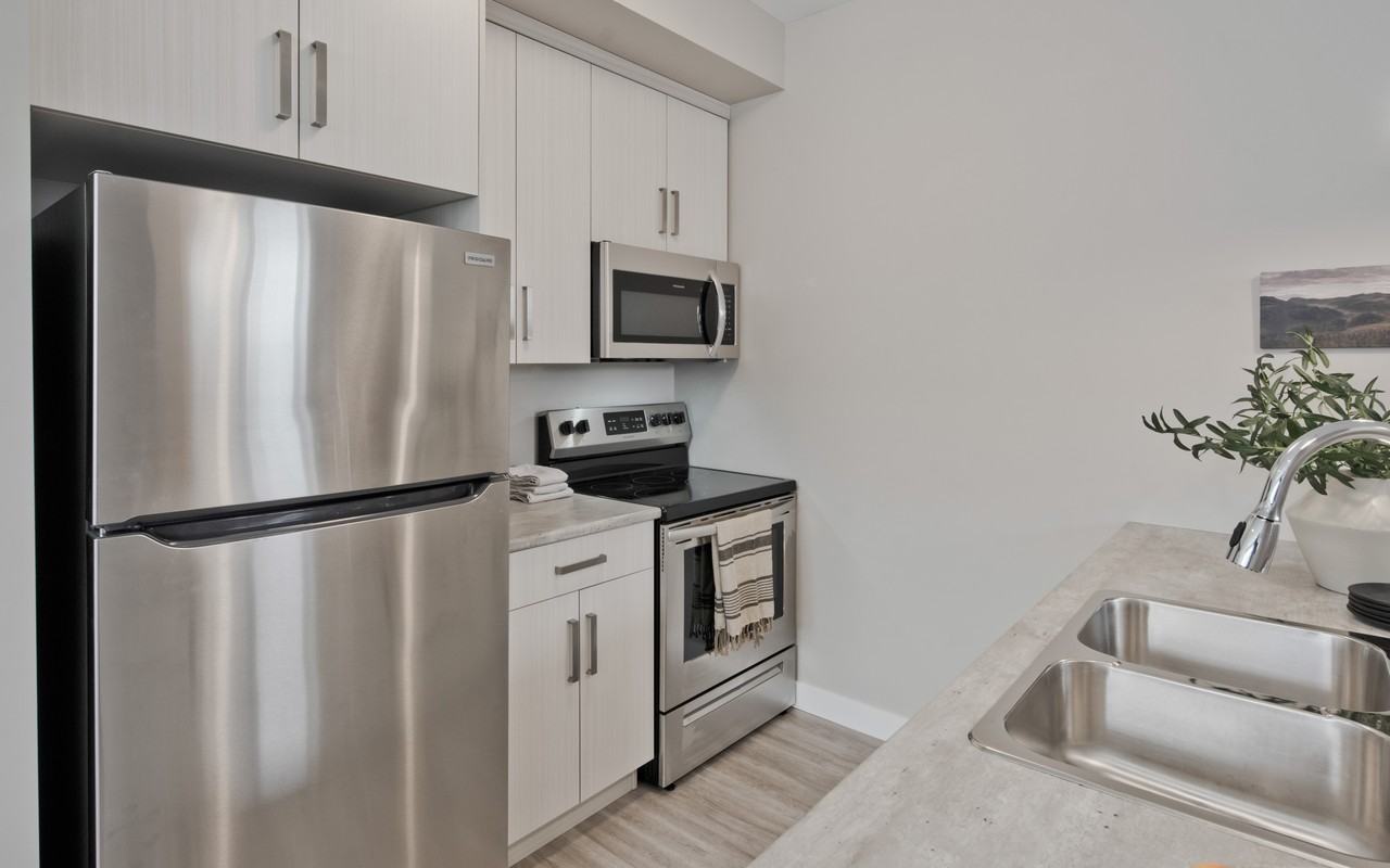 51 & 61 Edgemont Place - Photo 6 of 31