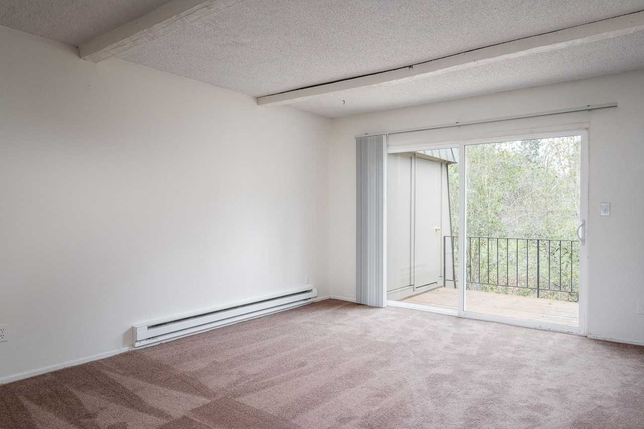 Sun Brook - Photo 7 of 13