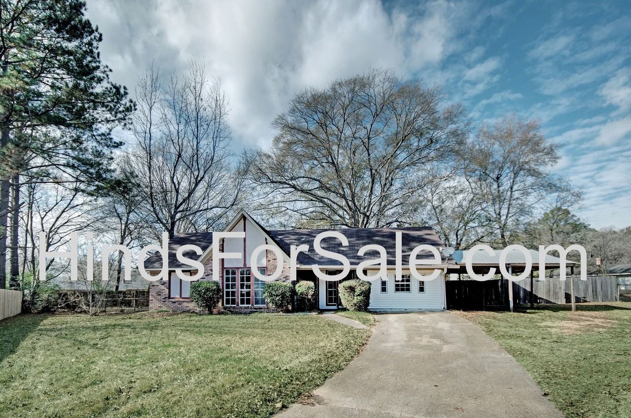 105 Cross Tree Circle - Photo 6 of 18