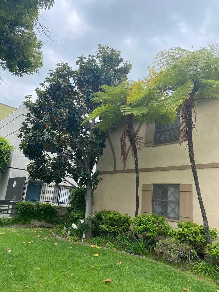 San Rafael, 1147 - Photo 7 of 9