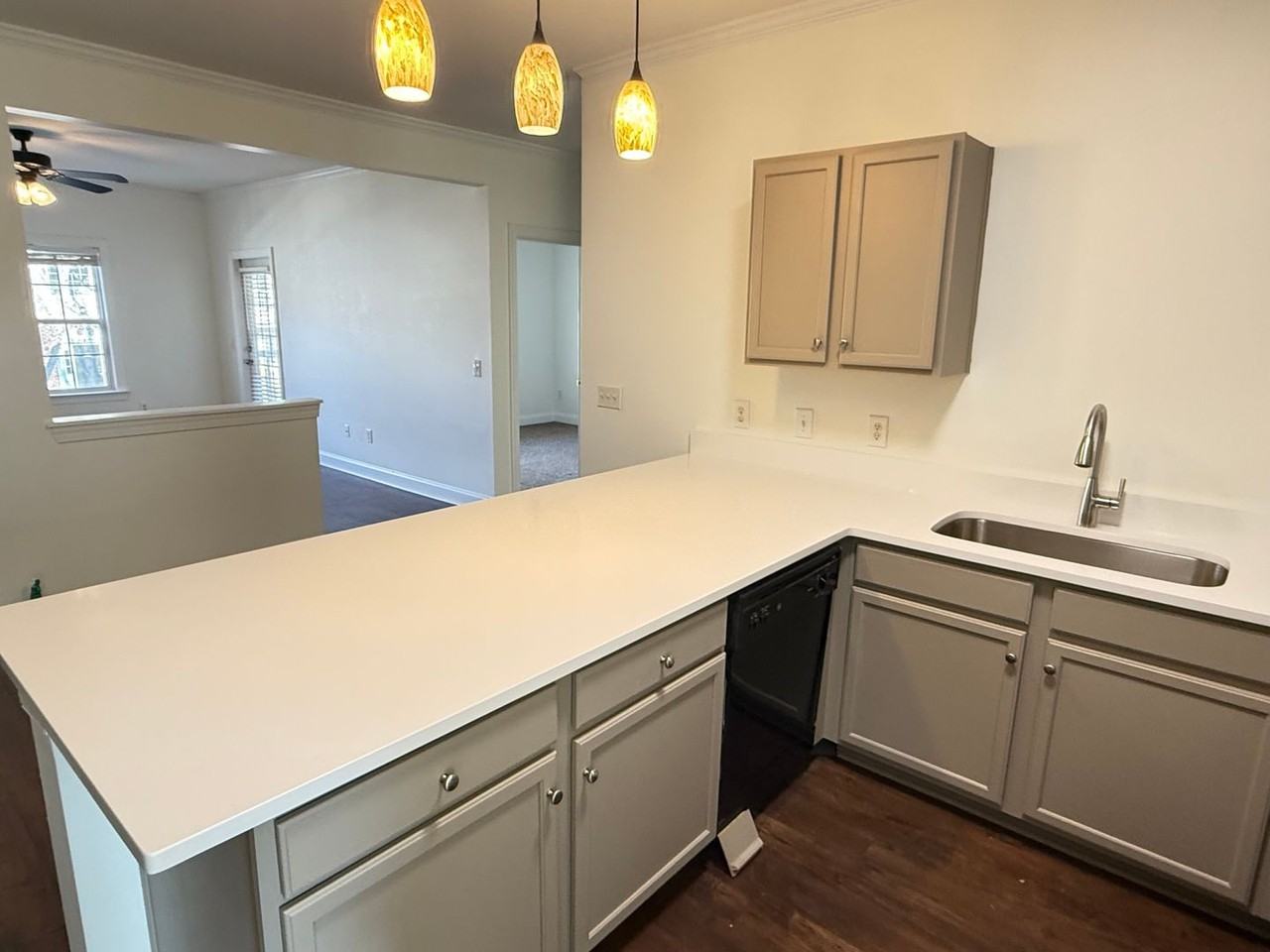 19923 Weeping Water Run - Photo 3 of 19