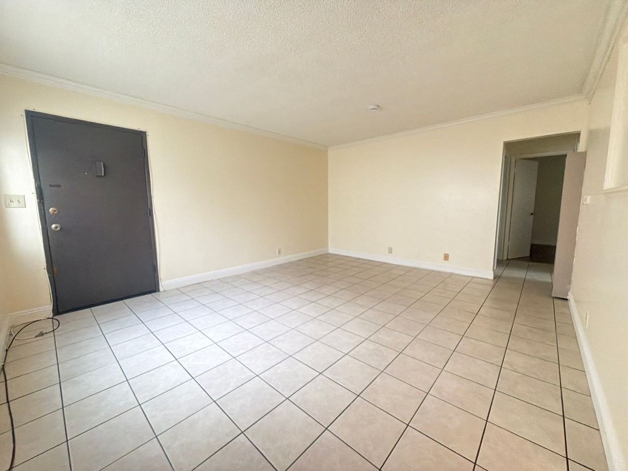 215New - Photo 4 of 19