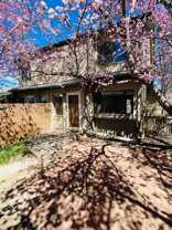 665 Poplar Ave - Photo 1 of 1