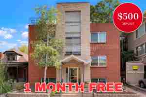 featured image of 42 N Pearl St #103