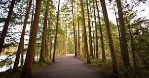 Pinewood Terrace - Photo 2 of 2